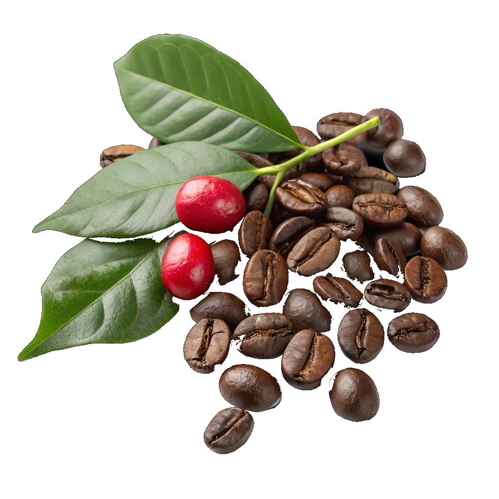 Falling Roasted BREW Beans